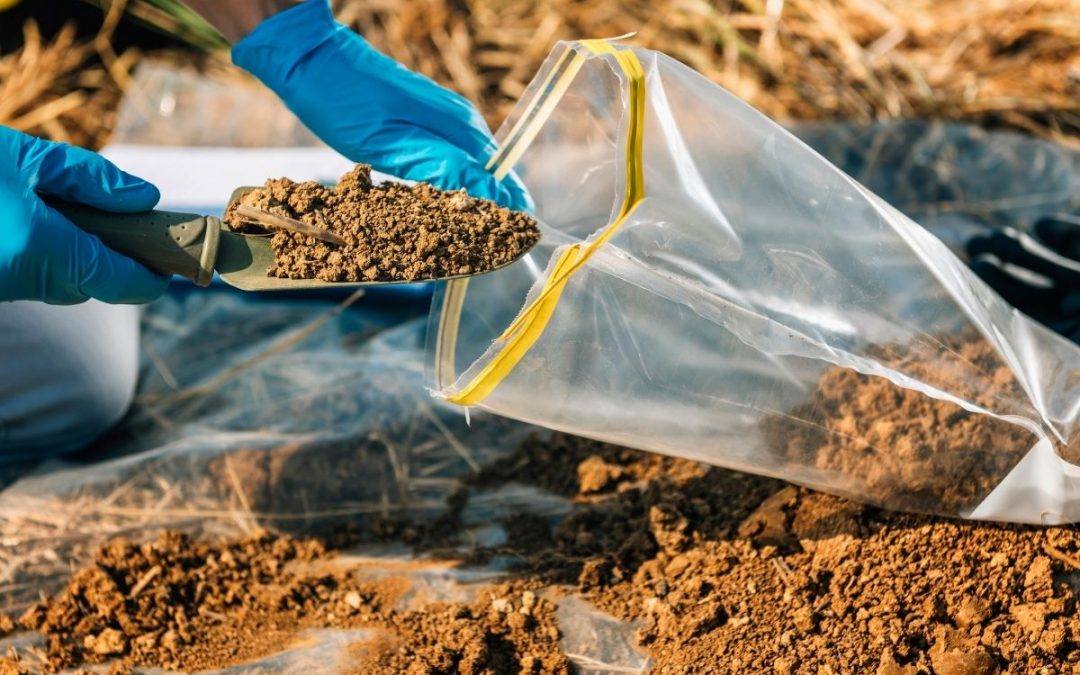 Soil Testing bangalore